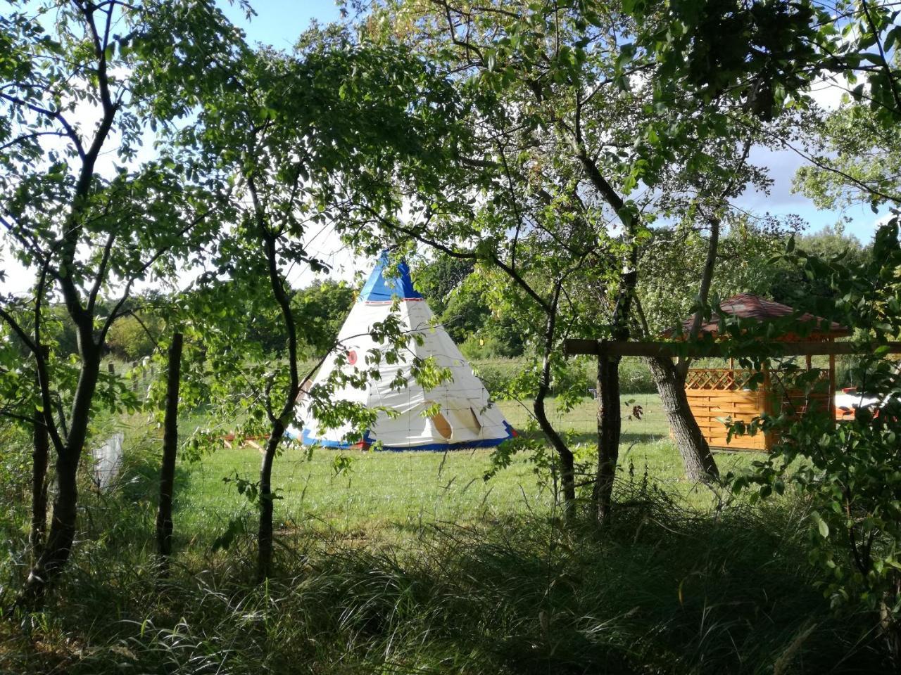 Glamping Podgrodzie Hotel Nowe Warpno Kültér fotó